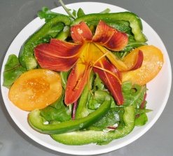 gemengde sla, groene paprika,gele tomaat en oranjerode daglelie
